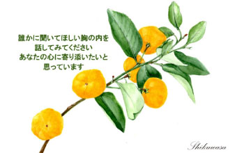 横浜いのちの電話古本募金